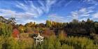 Beechworth Chineese Garden - VIC T (PBH4 00 13608)